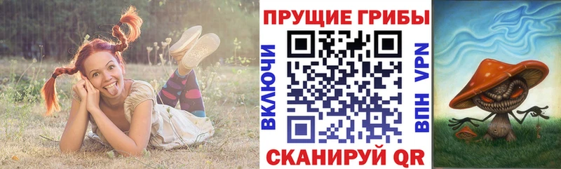 Галлюциногенные грибы Psilocybine cubensis закладки гидра зеркало Пугачёв
